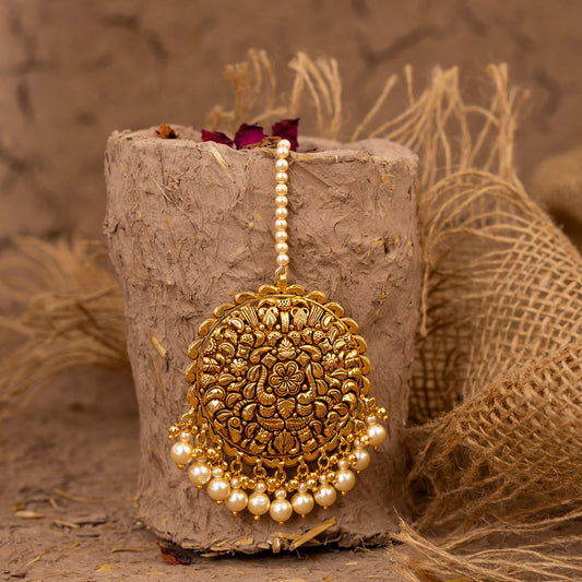 Celestial Bloom Punjabi Tikka with Refined Elegance